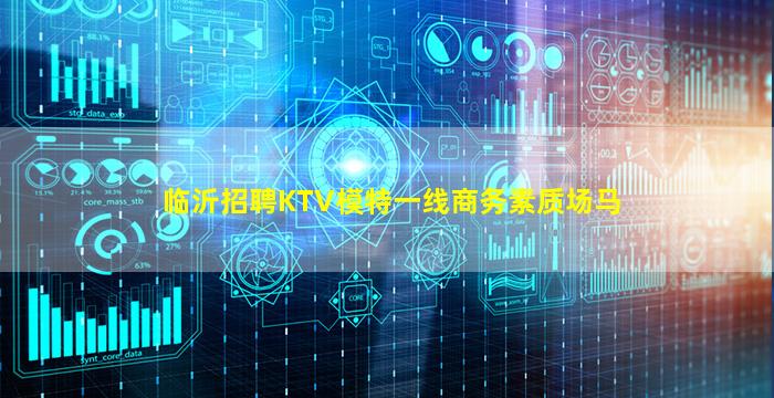 临沂招聘KTV模特一线商务素质场马